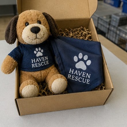 Customized dog toys for shelters and rescues