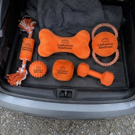 Personalized rubber dog toy with a moulded logo